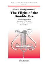 FLIGHT OF THE BUMBLEBEE FLUTE SOLO cover